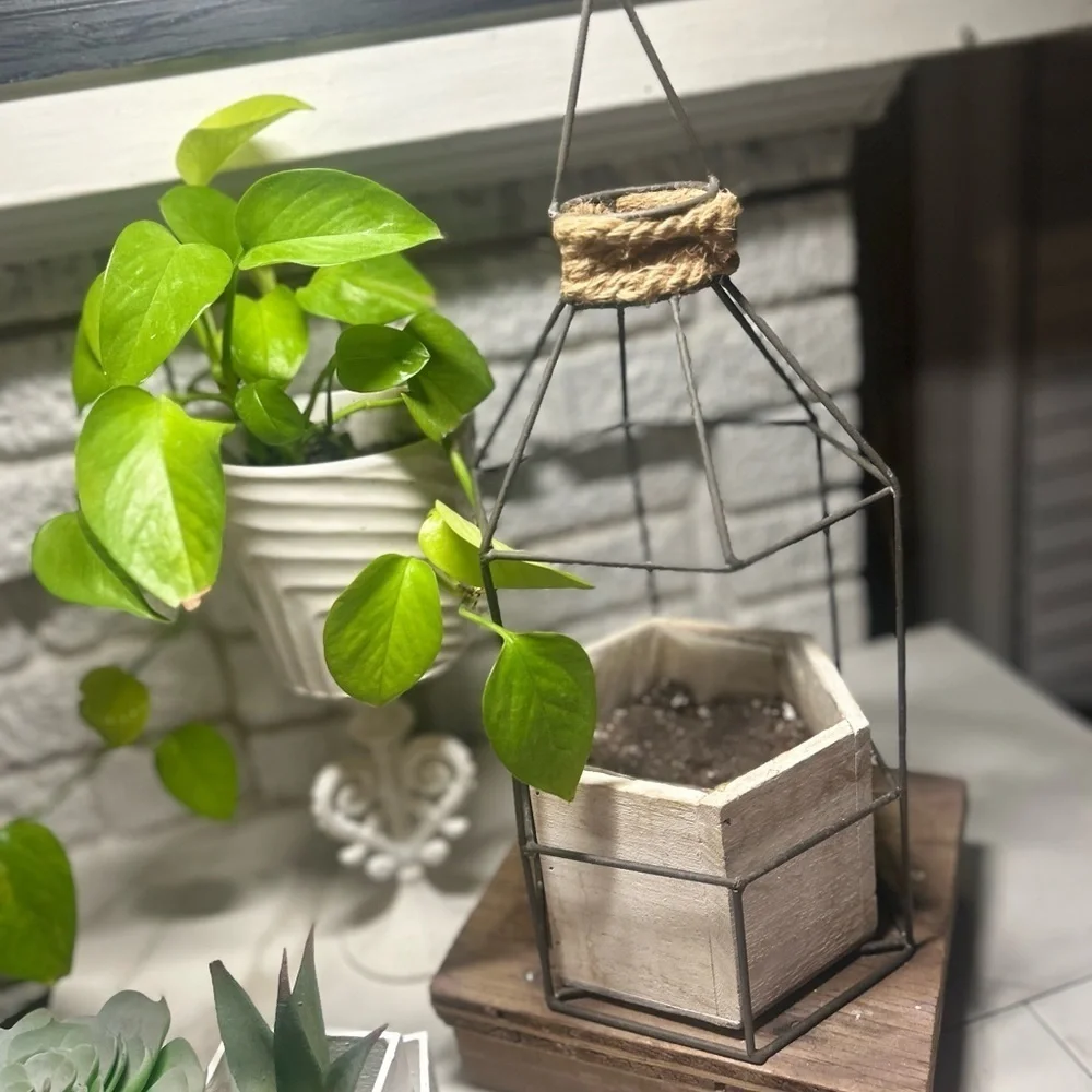 Rustic Wood Pot Hanging Plant Planter Indoor or Outdoor Medal Design Decor